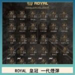 ROYAL皇冠煙彈通用relx一代/ILIA/sp2s