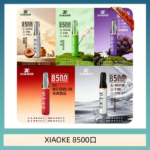 梟客XIAOKE一次性電子菸拋棄式8500口